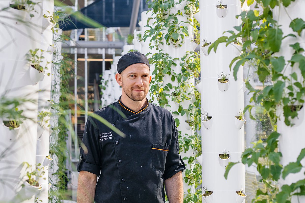 Happy Earth Month! UC Irvine has an aeroponic garden on the patio of The Anteater - it uses 90% less water than traditional farming. The plants grow up to three times faster and produce up to 10 times more food in the same space.🤘🌏 #sustainability #EarthMonth #EarthDay