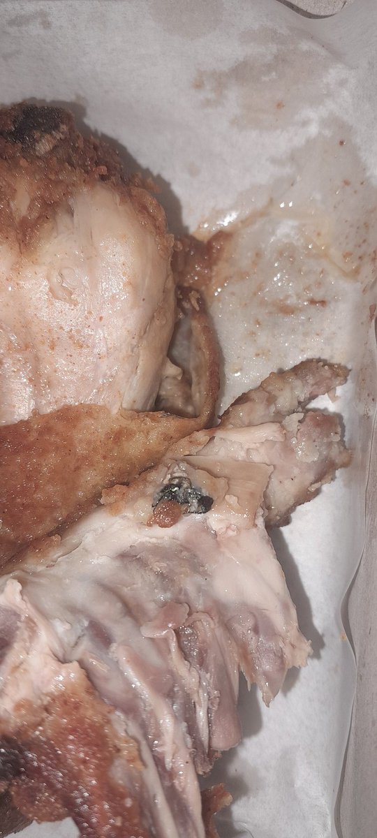 KaylashR's tweet photo. @ChickenLickenSA Hi there
So I bought a Lunch meal Max at The Banbury crossing branch 
Halfway through my meal I found a fried green fly with my meal 😱🤢🤮🤮🤮 #chicken #FoodFriday #Mzansi https://t.co/JRhyqY9IDz