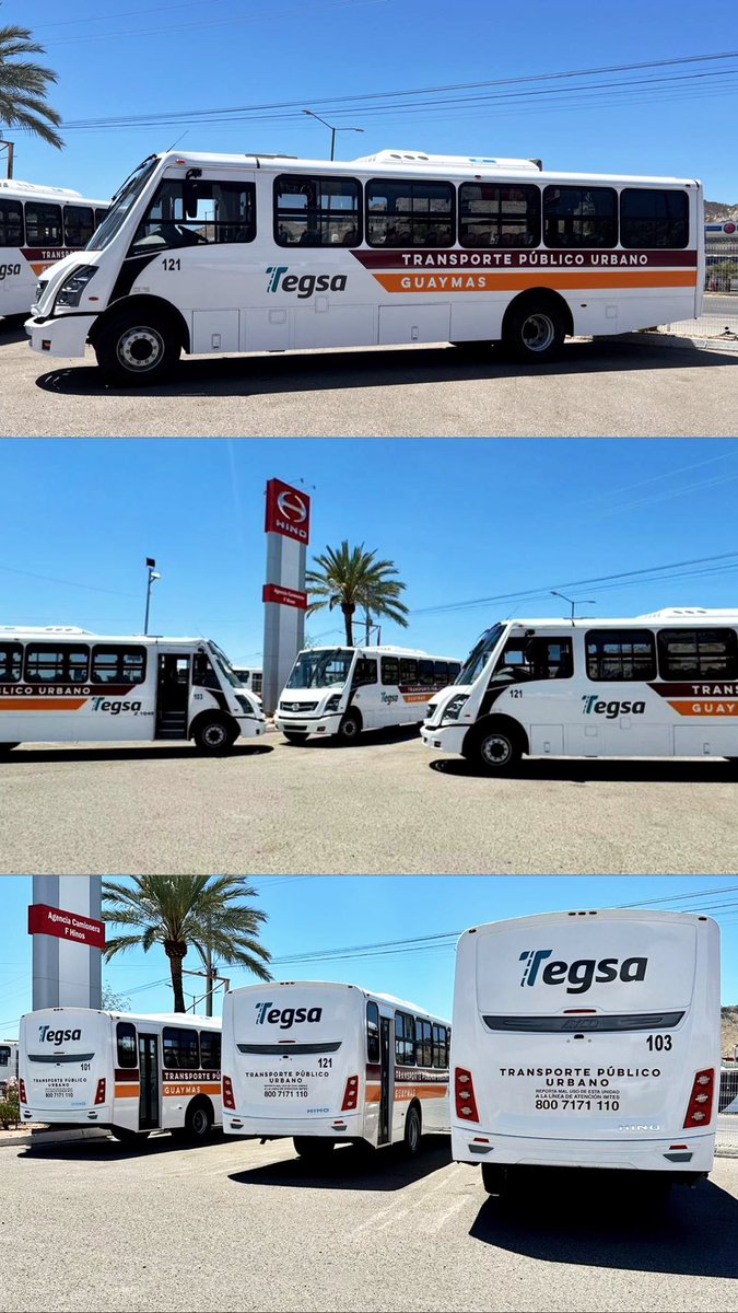 aldogonzalezgax's tweet photo. #TEGSA #GUAYMAS 

🚨 Viene transporte Urbano nuevo para ruta #GuaymasNorte https://t.co/JqHZubVgmI