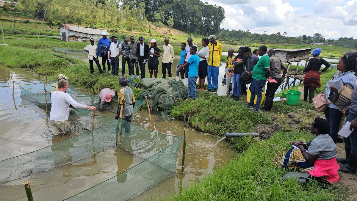 We are honored to be part of the Master training session of Fish Farmers <a href="/NyanzaDistrict/">Nyanza District</a> which were organized by <a href="/RwandaAgriBoard/">Rwanda Agriculture & Animal Resources Devpt Board</a> <a href="/EnabelinRwanda/">Enabel in Rwanda</a> . The event gathered six selected Model Fish Farms, 24 trainees are going to share the acquired knowledge to their fellows farmers