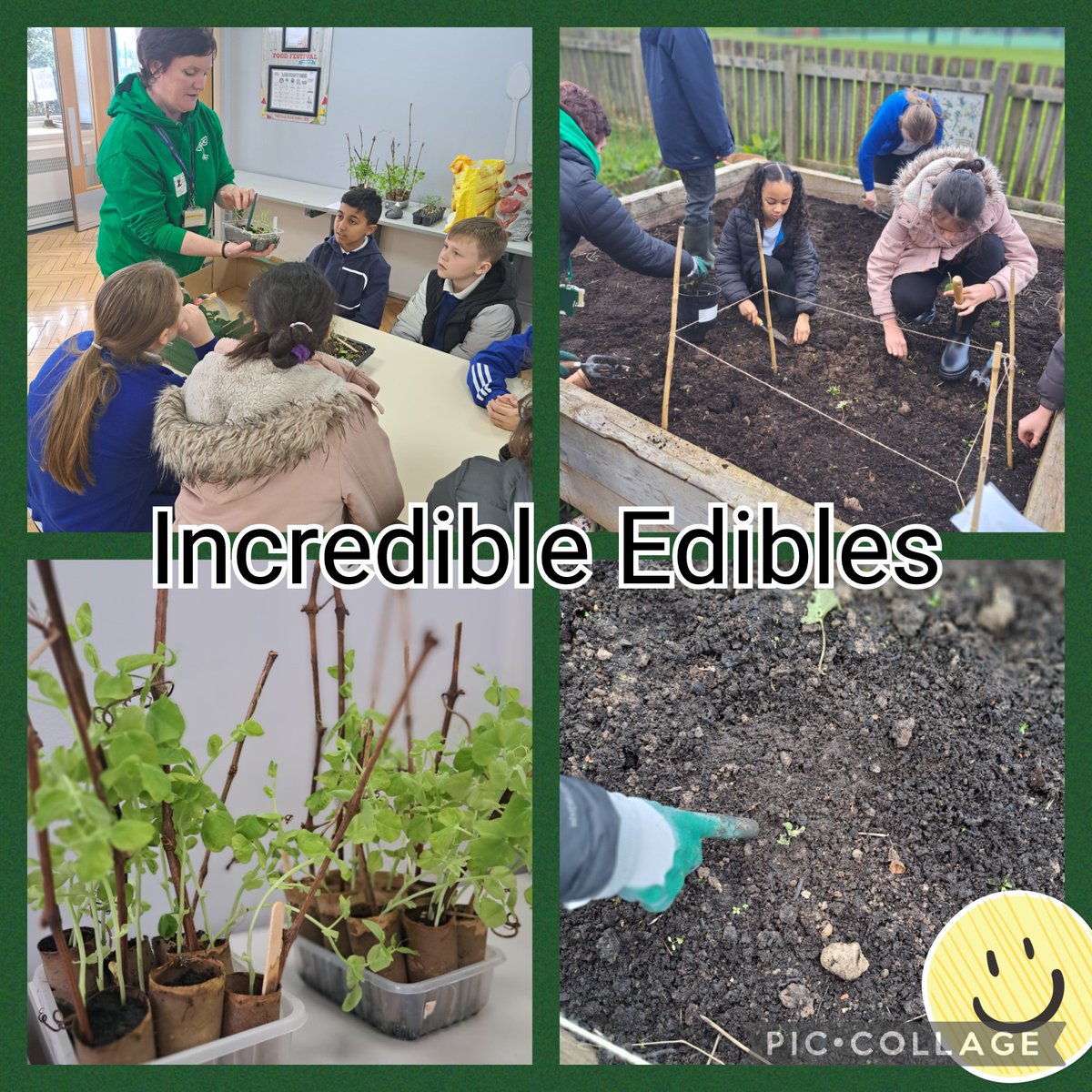 We've been working alongside Incredible Edible to implement some of the brilliant aims from @LSChildrenMayor manifesto! We have been composting and growing with aim to make school more sustainable!