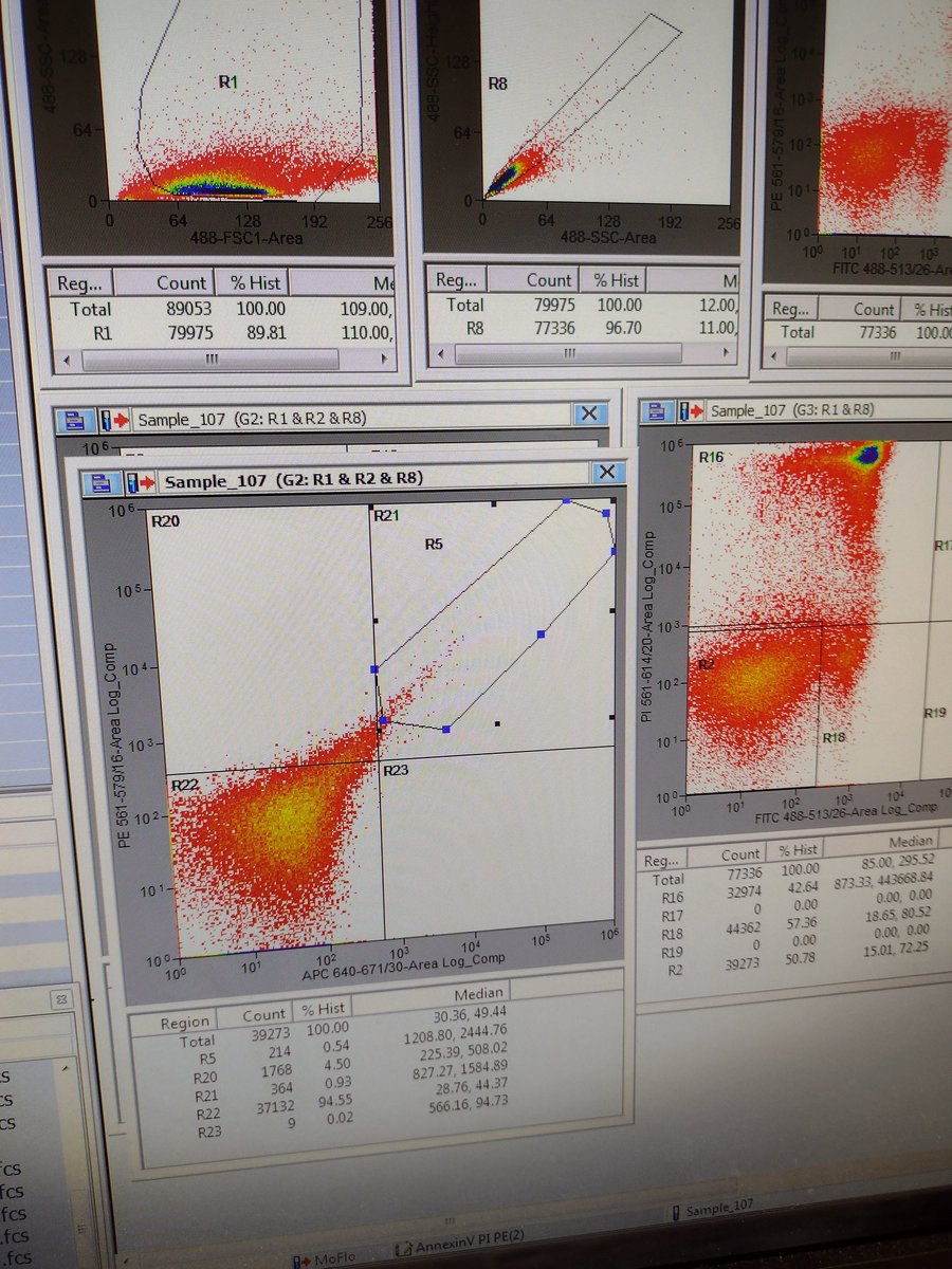 It's #FlowTime. There's #LassaFever  #monoclonals in them there B cells (I hope).