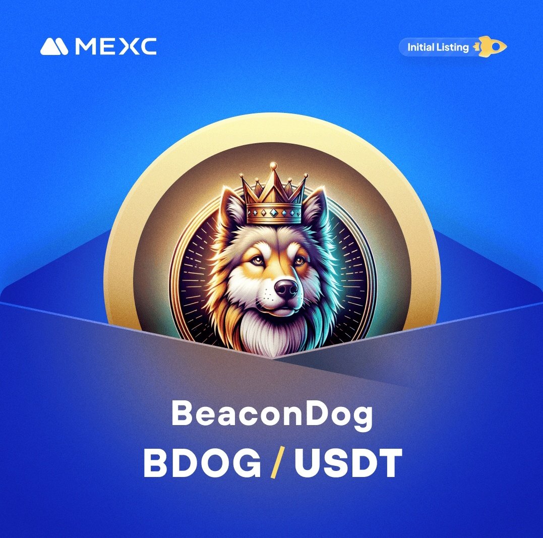 Itokutama's tweet photo. Very little time left to get your hands on #BeaconDog 
This opportunity won't be given any more. Low supply, and very bottom price!!! @MEXC_Official #BDOG https://t.co/ePvkt7XvWQ