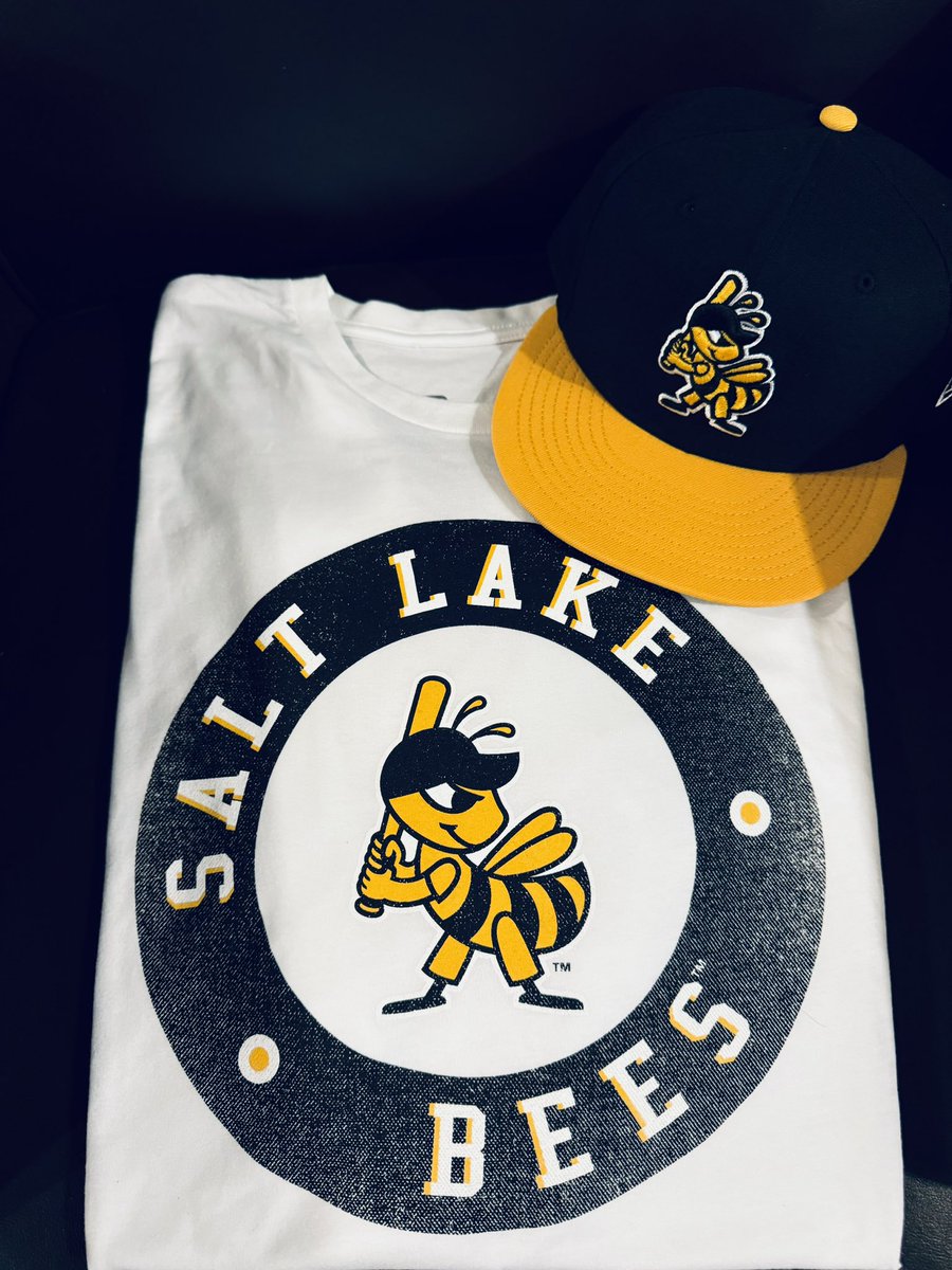 Today, my daughter’s pick for #ShirtOfTheDay is the @SaltLakeBees! This is their great looking @108Stitches Go To Tee, featuring their Primary Bee Logo! I paired it with their fantastic Alternate 5950 Cap!🐝

You can get their merch here: beesteamstore.com