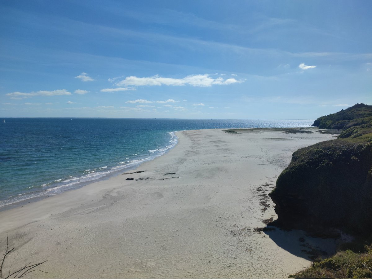 Emmanuel MATON tweet media