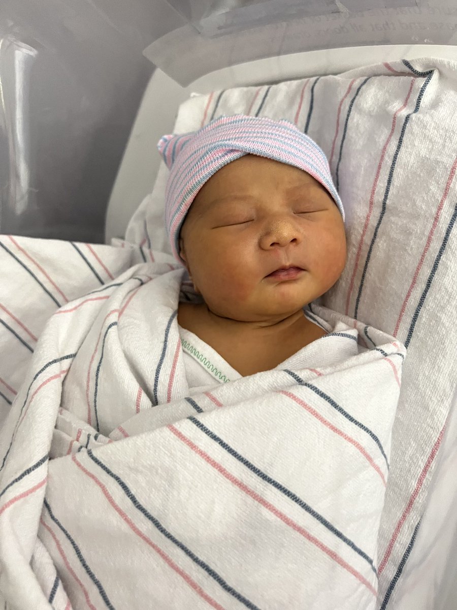 Peter Van Do tweet media