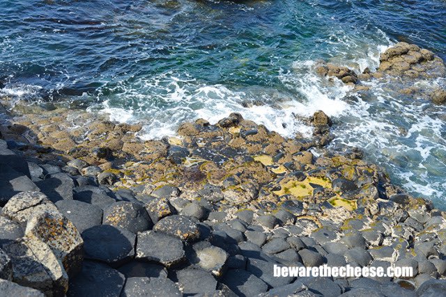 The rocky coast of #NorthernIreland at the #GiantsCauseway. A daily photo from my archives.
bewarethecheese.com #photography #travel #europe #ireland