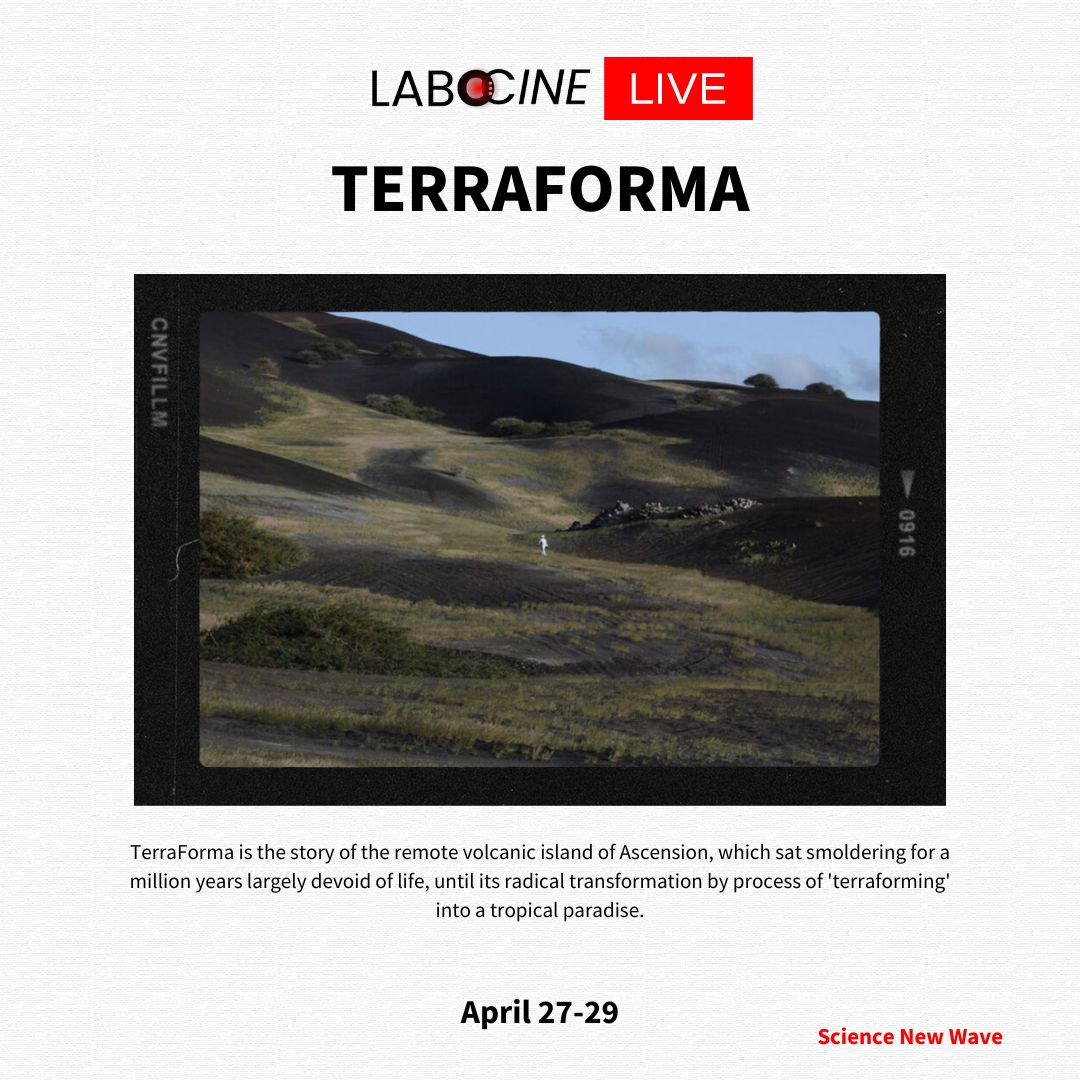 Our upcoming LIVE screenings - Picture A Scientist, 8000 Years Old, Cabbage, TerraForma - labocine.com/live.