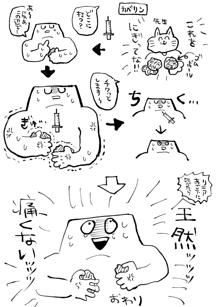初めての○○レポ(※かなり色々省略しています) 