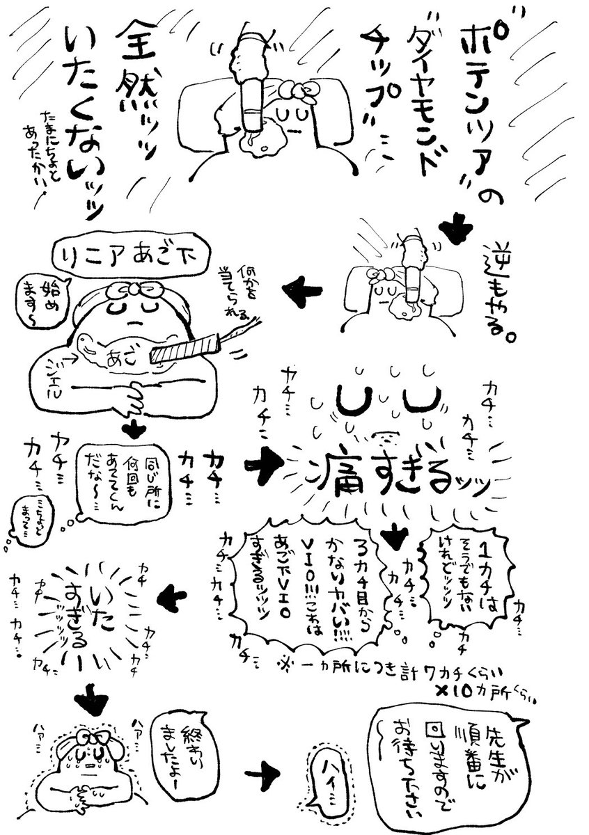 初めての○○レポ(※かなり色々省略しています) 