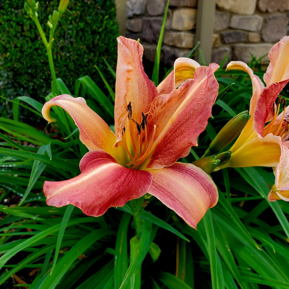 VaporsTime's tweet photo. May your day overflow with love and light, as your inner creativity explores the depths of your soul, and may you share that radiant energy with the world around you.

(Photos captured on my daily walk) https://t.co/IprcbCYk65