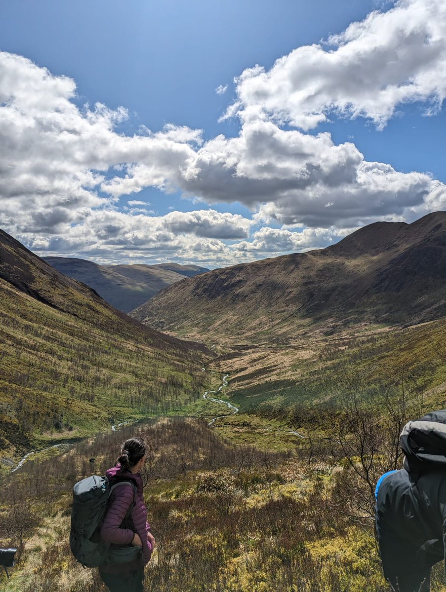 #WeekInReview Vicky had an interesting day out at Carrifran Wildwood w @BordersForest looking at their incredible work over 25 years. The transformation from overgrazed & featureless valley to a tree-filled, biodiverse haven for wildlife and plants is spectacular to witness.