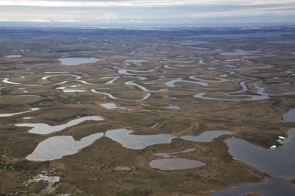 Big news out of Alaska this morning: @POTUS just moved to protect 13 million acres of public lands in the Western Arctic! This is a tremendous win for the Arctic, for Alaska Native communities, and for our climate: sierraclub.org/press-releases… 📷: Bob Wick