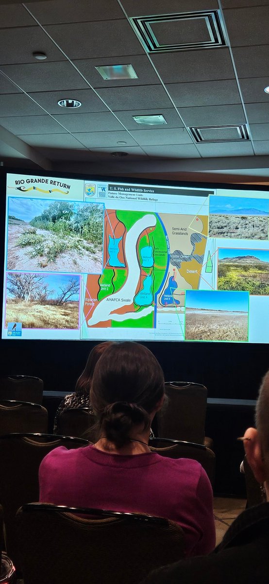 I loved learning about how the local community was such an integral part in building Valle de Oro NWR. As an urban refuge, community led thought and planning was put into providing local people access to some of the different habitat types that NM has to offer.