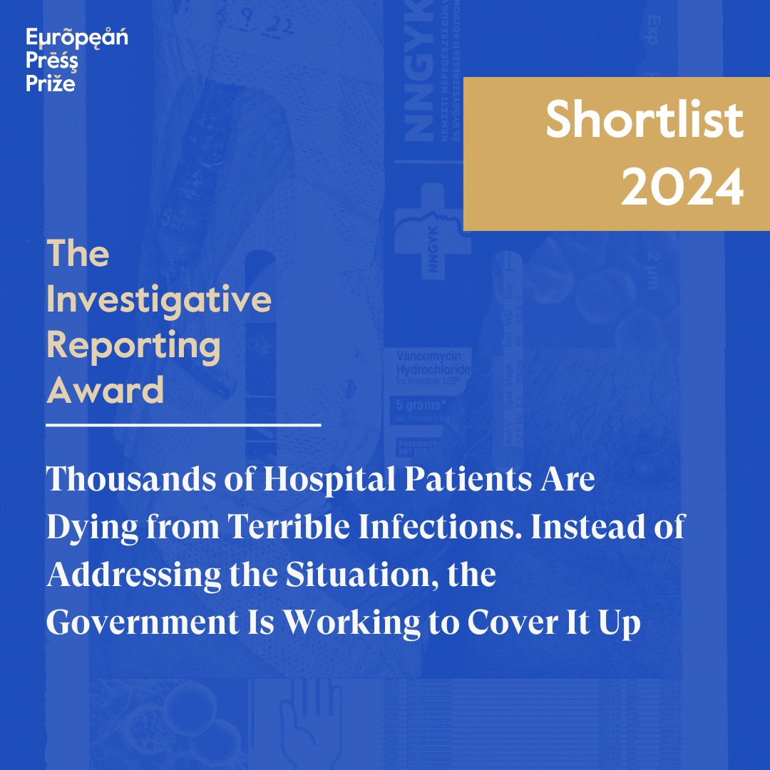 direkt36 tweet media