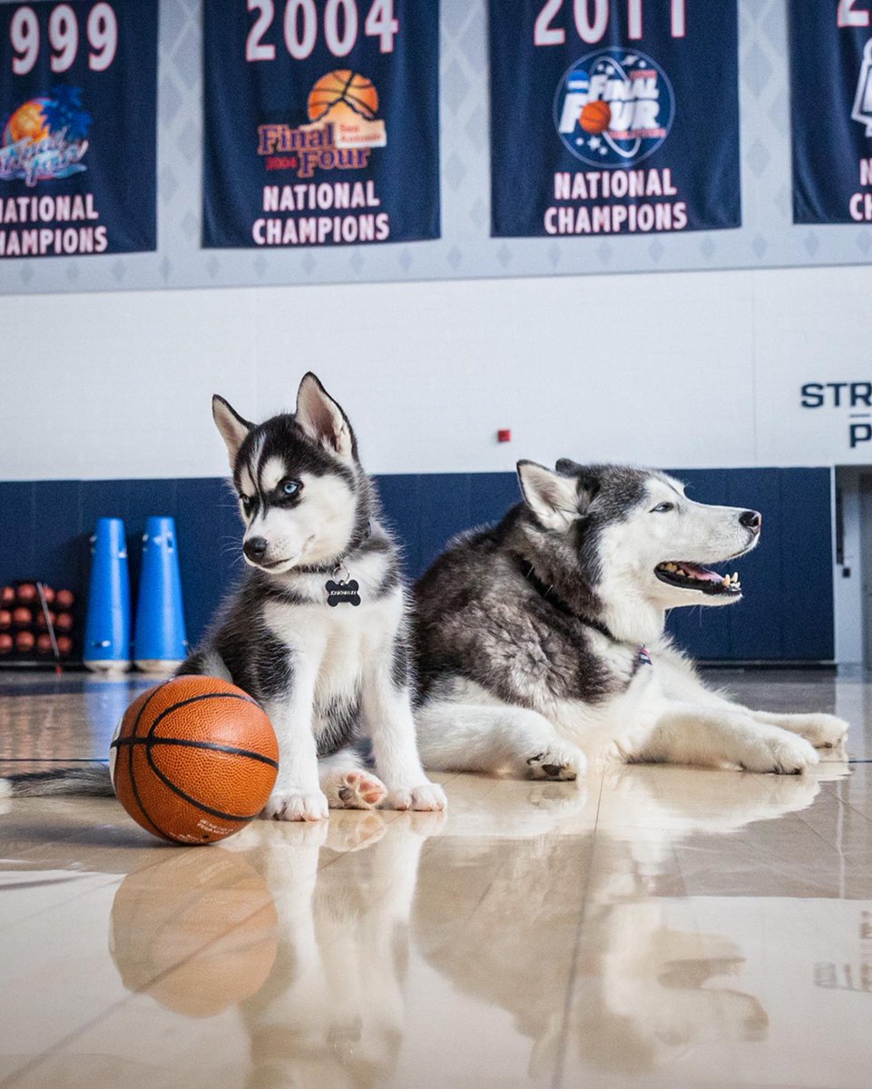 UConnHuskies's tweet photo. Happy Birthday Jonathan XV! 🥳 https://t.co/mSxFqaEffM