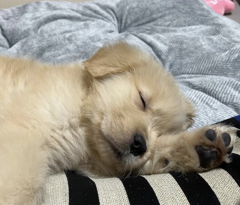 รอด้ายคับ ไม่ง้วง