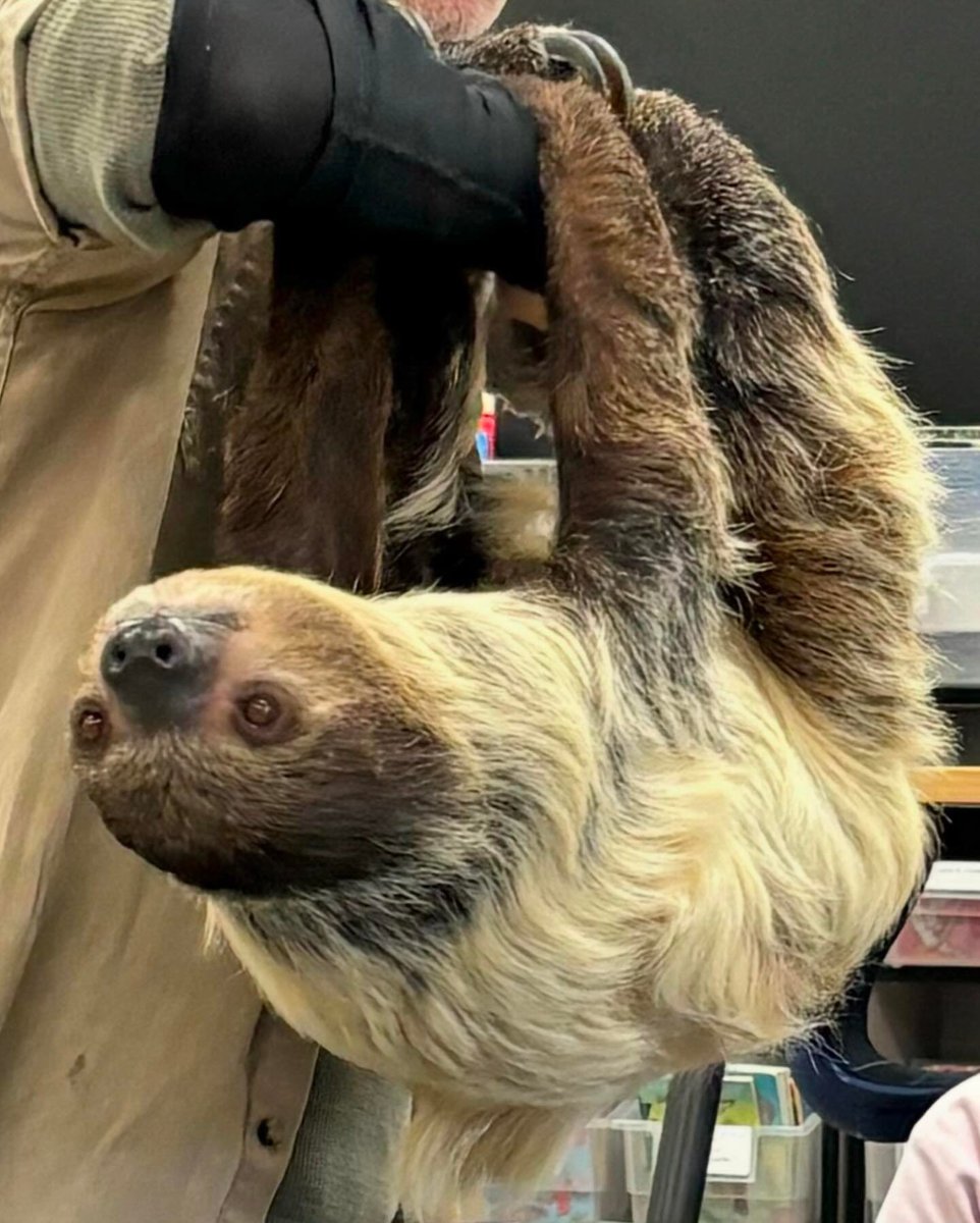 NoviParkview's tweet image. So much fun with Science Alive today!