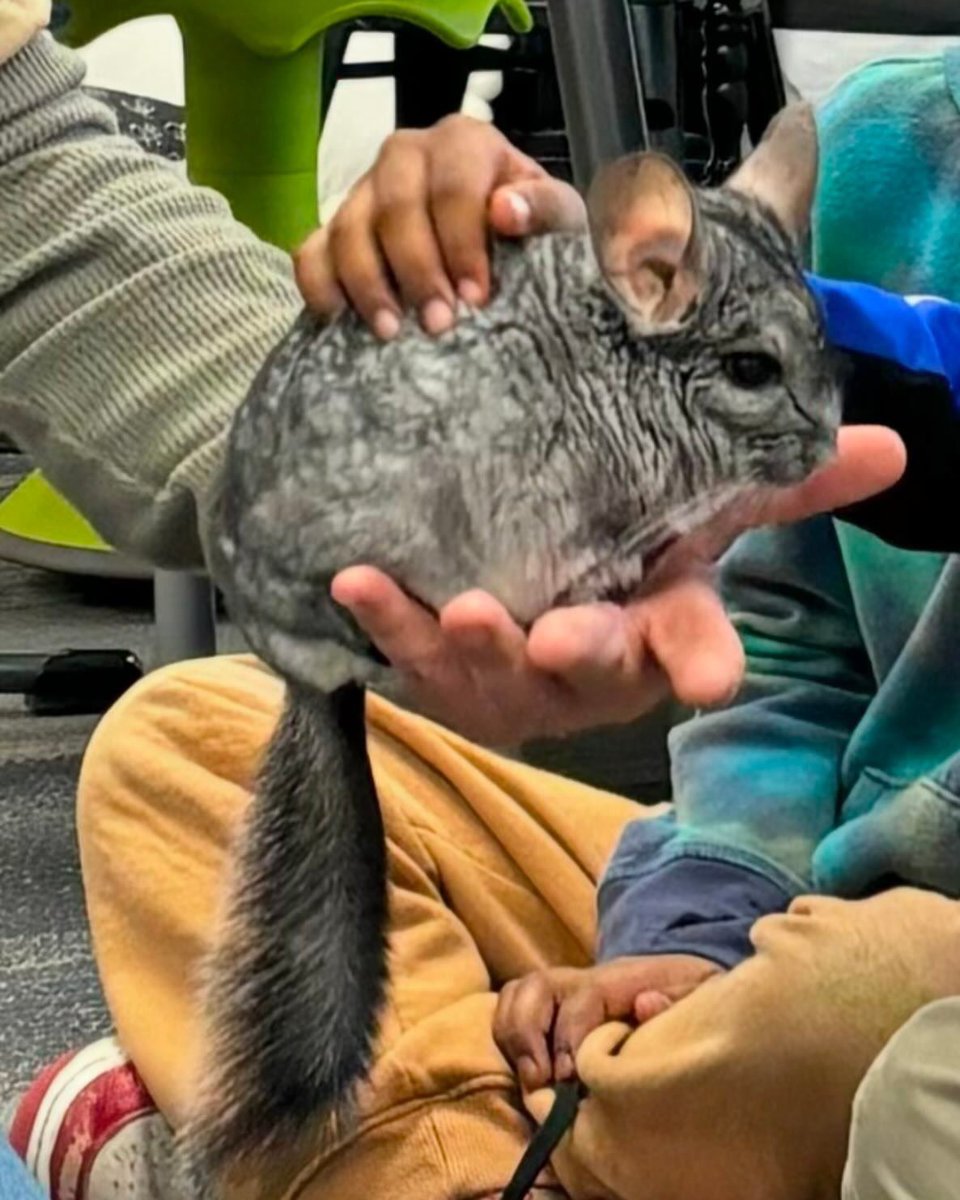 So much fun with Science Alive today!