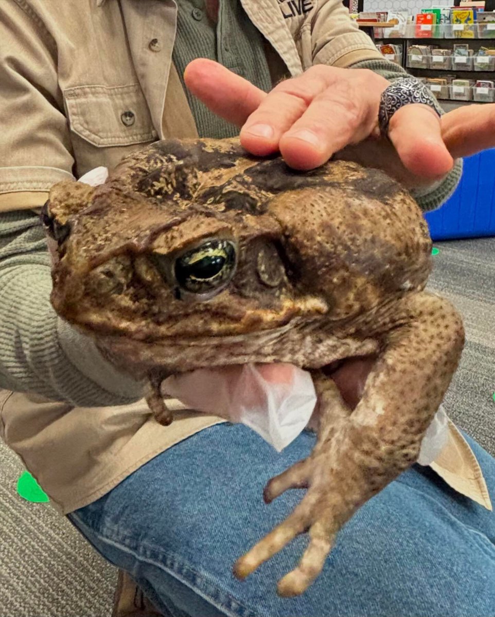 NoviParkview's tweet image. So much fun with Science Alive today!