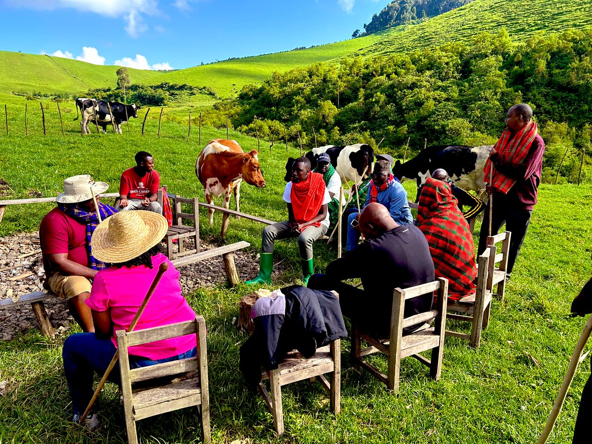 #GushimaFriday Today I'm thankful to @Ngabo_Karegeya for leading cultural tourism in Bigogwe, Rwanda with @Visit_Bigogwe ! Your passion for showcasing our heritage, especially with cows, is inspiring. Let's keep it up and encourage more visitors to explore Western Province!