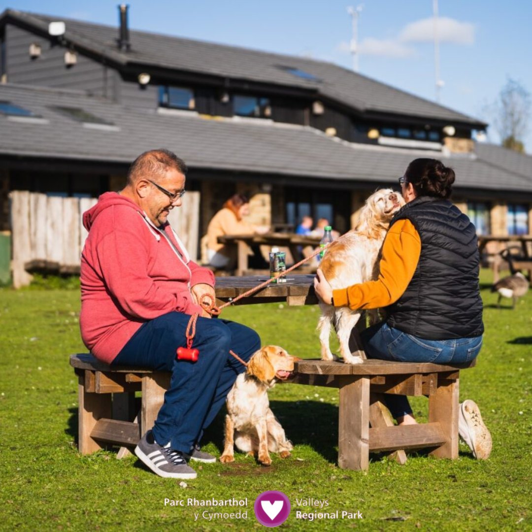 Mae gan ein canolfannau darganfod lwybrau perffaith ar gyfer cŵn o bob math, waeth beth fo’u maint!🐾 Rydyn ni’n croesau cŵn, felly gall ein ymwelwyr dreulio mwy o amser yn cael llesâd yn yr awyr iach — a hynny yng nghwmni eu cyfeillion cynffonnog 💚🐶