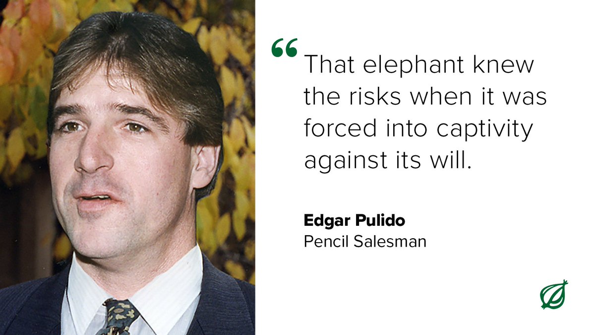 Circus Elephant Escapes In Montana bit.ly/3w2MG75 #WhatDoYouThink?