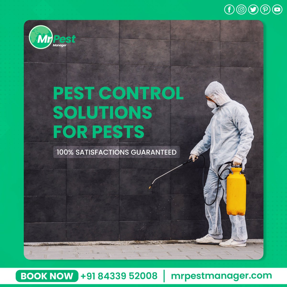 Mr Pest Manager | Pest Control Service (@mrpestmanager) / Posts / X