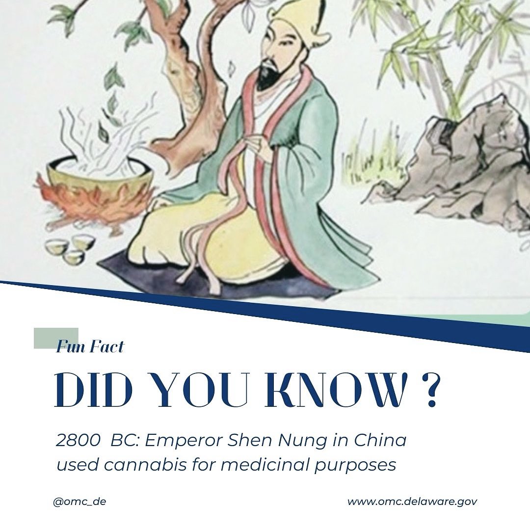 🍃 Shen Nung, a legendary ruler of China, diligently tested poisons and antidotes on himself to create hundreds of drugs, including those derived from plants like “Ma”, meaning Cannabis. 🍃 Dive into the history of cannabis! #medicinalplants #ShenNunglegacy #DOMC #Cannabis