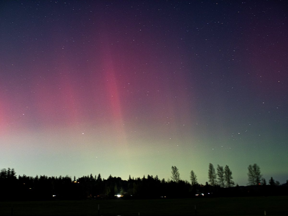 NoelBowman13's tweet photo. 4/19/24 from Enumclaw,  Washington after midnight. 
@theauroraguy 
@ShannonODKOMO 
#wawx
#solarstorm
@WeatherNation
@NWSSeattle 
@komonews 
@AuroraNotify 
@earthskyscience 
#aurora https://t.co/RnDO5XAw3t