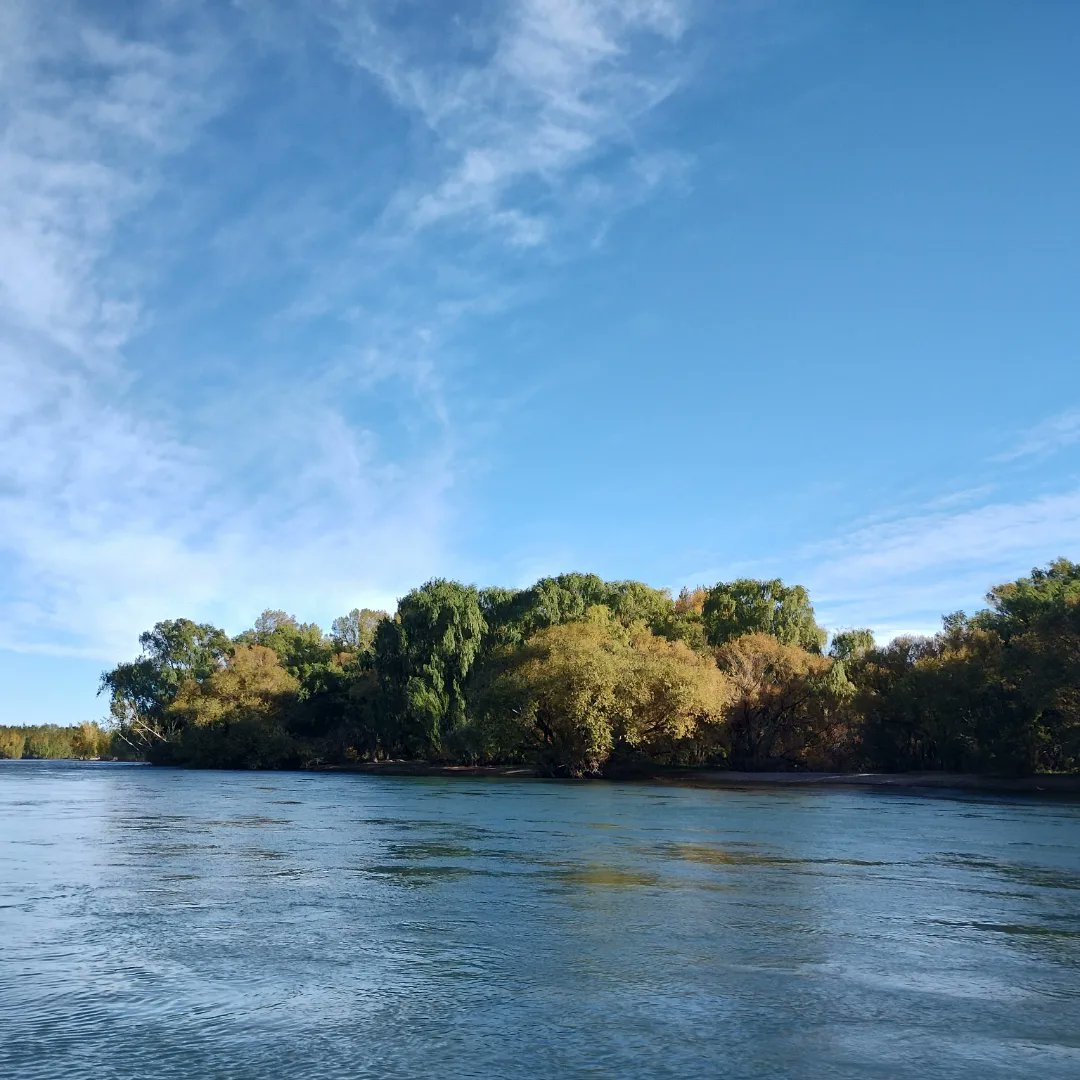 MesaDePesca's tweet photo. Esta mañana se realizó un recorrido de reconocimiento y fiscalización desde Allen a Guerrico.

El río Negro ha bajado su caudal. Desde la embarcación, se pudieron identificar sectores de la costa muy usados por los pescadores. 

#pescadeportiva @econprod_rn https://t.co/coQNWFZcon