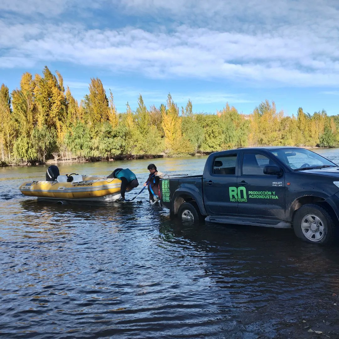 MesaDePesca's tweet photo. Esta mañana se realizó un recorrido de reconocimiento y fiscalización desde Allen a Guerrico.

El río Negro ha bajado su caudal. Desde la embarcación, se pudieron identificar sectores de la costa muy usados por los pescadores. 

#pescadeportiva @econprod_rn https://t.co/coQNWFZcon
