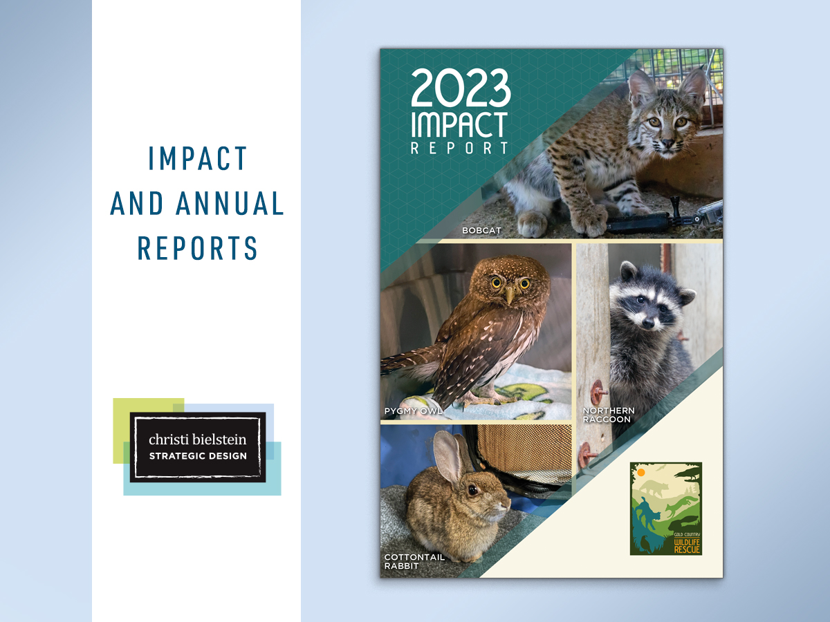 #Impact and #Annual #Report packages. #graphicdesign #marketing #tuscaloosa #alabama #nonprofit #impactreport

CBStrategicDesign.com