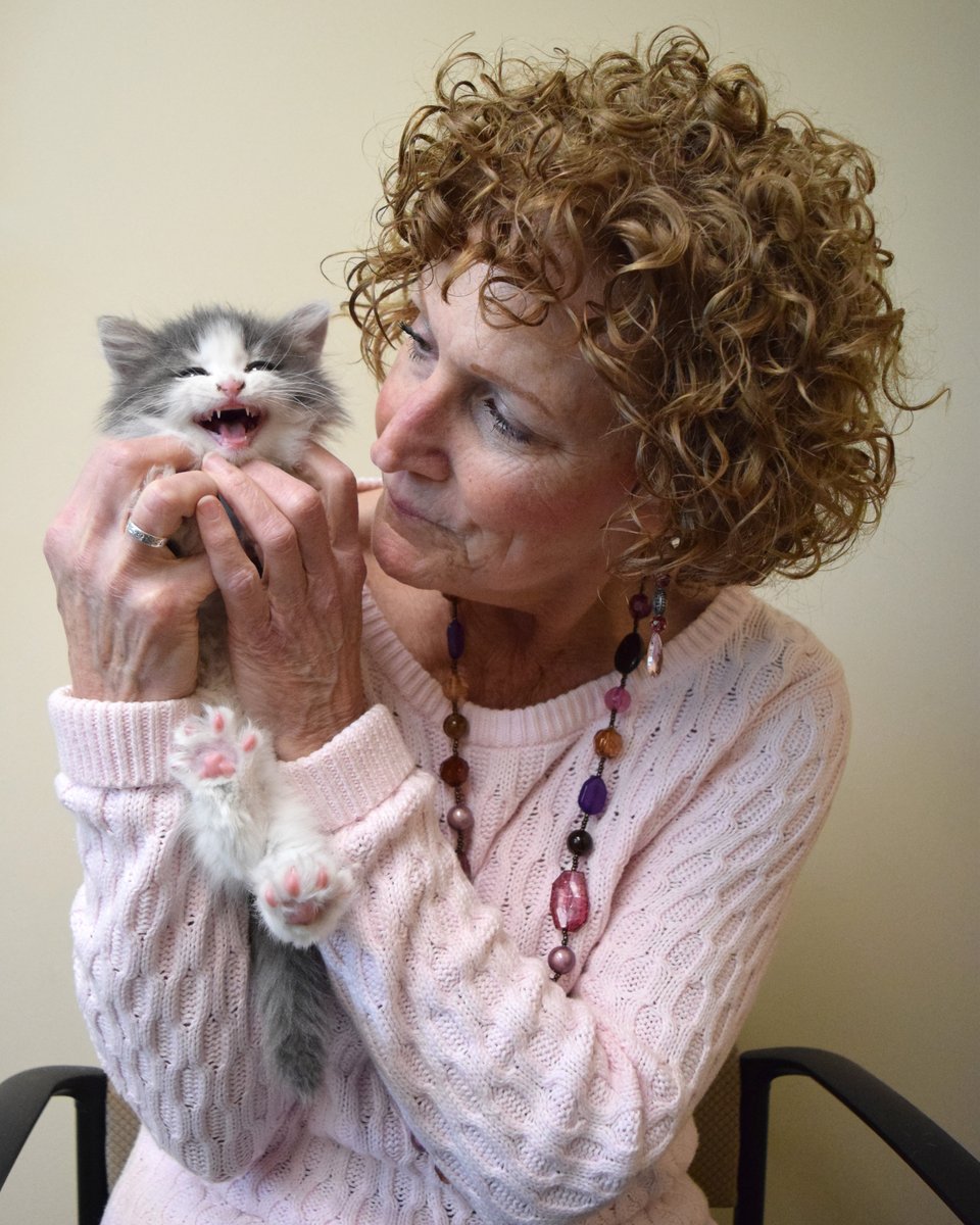 Today is #NationalCatLadyDay and we can't let this day pass without shouting out our resident Cat Lady - Sue!! 😻 Since Sue started in 2013 she has fostered more than 70 cats and kittens Thank you Sue for your love and patience that has changed the lives of so many 💕