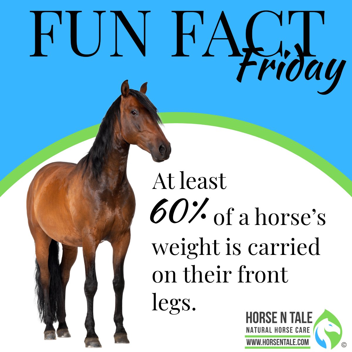 Fascinating Fun Fact Friday ! 

#horsentale #topicalequineproducts #naturalhorsecare #equine #horse #naturalingredients 
#barrelracing #barrelracer #horselife #horsemanship #teamhnt #teamhorsentale 
#horseracing 
#friday #funfactfriday #fridays #fridayfeeling #funfriday