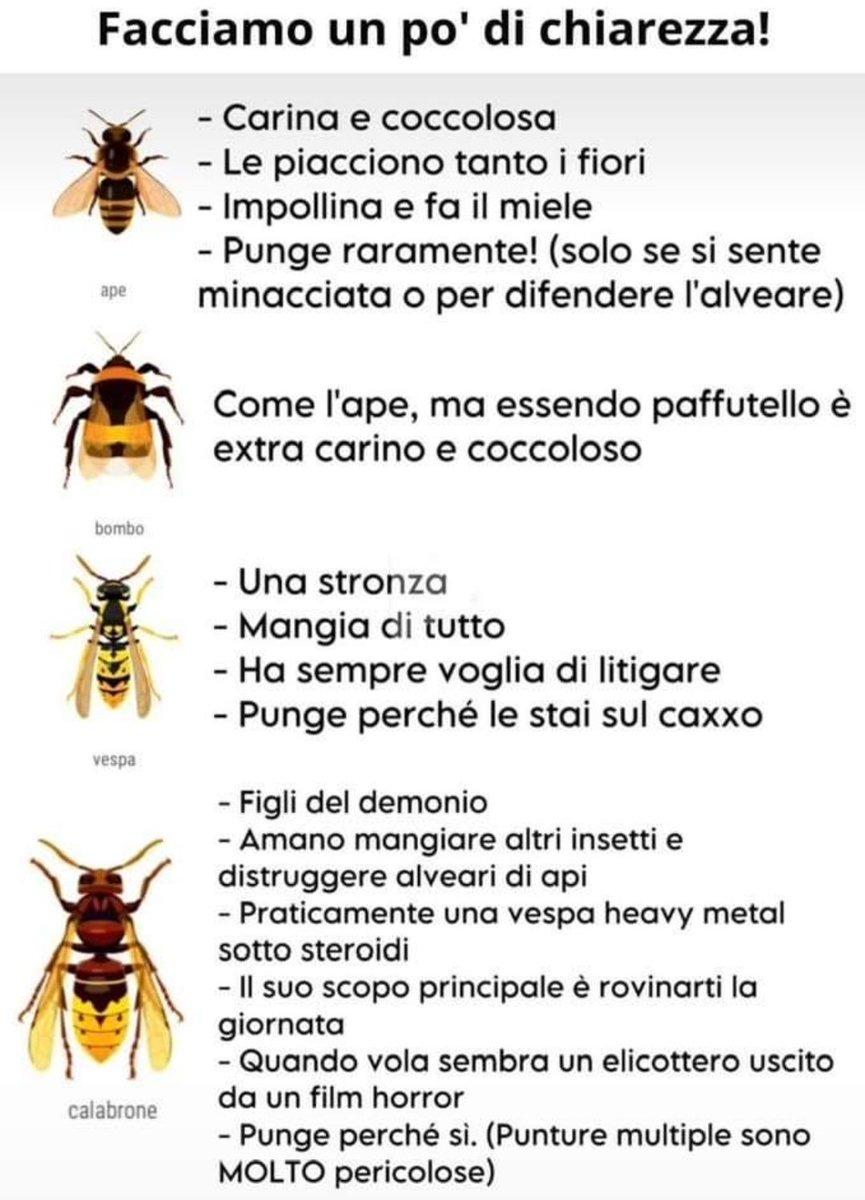 Ecco 🐝🐝🐝🐝🐝