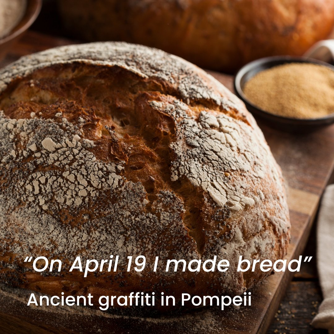 On this day in ancient #Pompeii, someone made bread - and was so pleased with it they recorded it as graffiti 🥖 #Bread has been a staple part of diets for thousands of years. From 25 May-2 June, we'll be celebrating the humble loaf with Bread Week: foodmuseum.org.uk/events/bread-w…