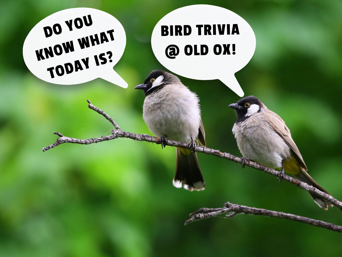 Spring migration is just around the corner! What better way to brush up on bird identification than with a fun-filled trivia game? Trivia starts at 7pm. Beer starts flowing at 3pm!