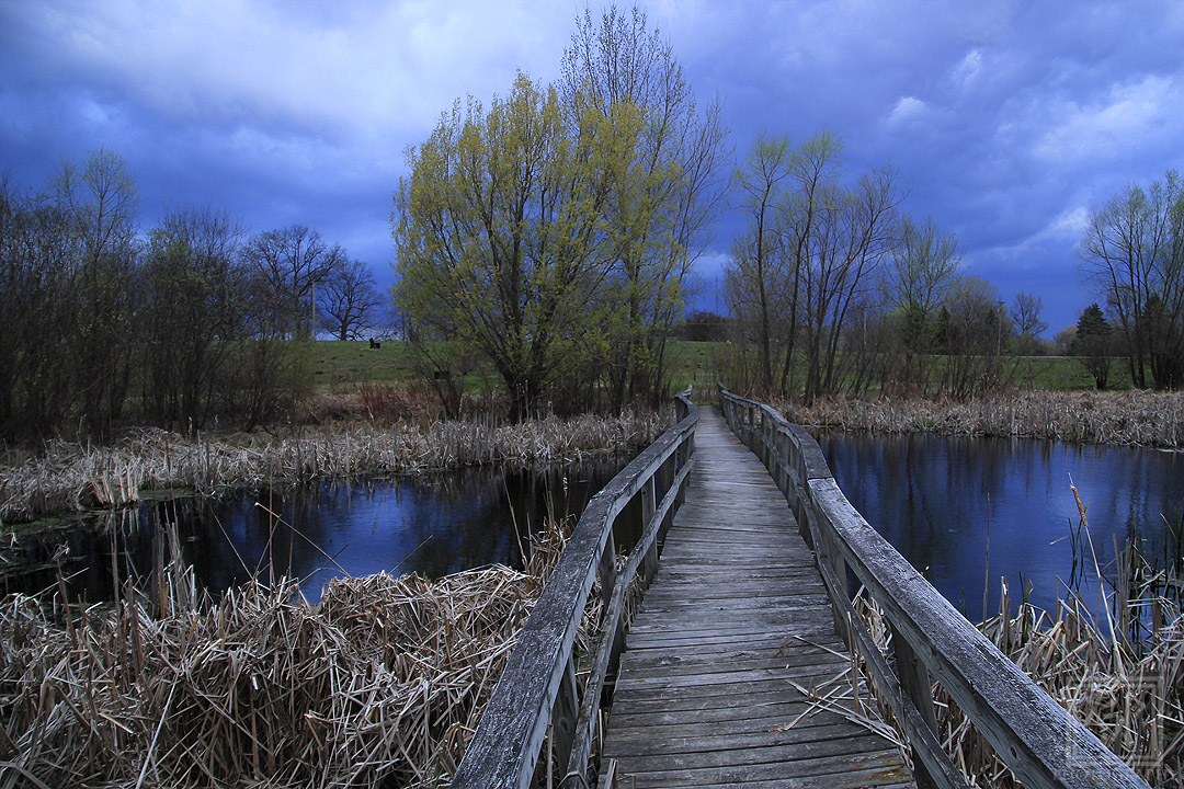 This Bridge was a little scary to walk on, at the #Cambridge Lake District Preserve. (4-16-2024) #KevinPochronPhotography #kjpphotography #Canon #Canon60D #Photography #NaturePhotography #Nature #water #trees #marsh #sky #Clouds #spring #Wisconsin #Storm #cattails @CanonUSA