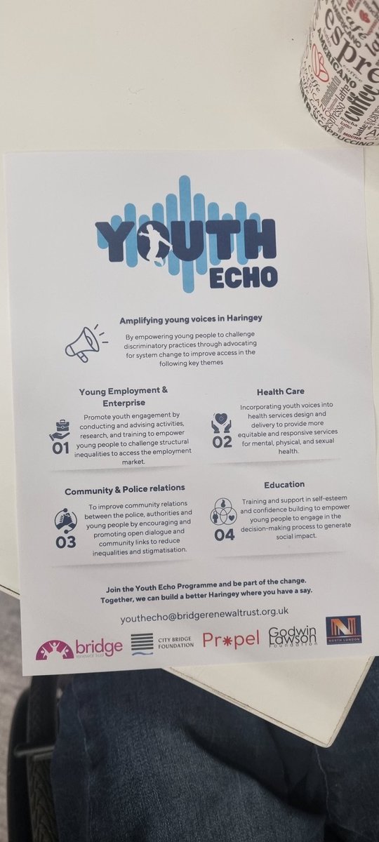 Youth Echo - Amplifying young voices in Haringey. @BridgeRenewal