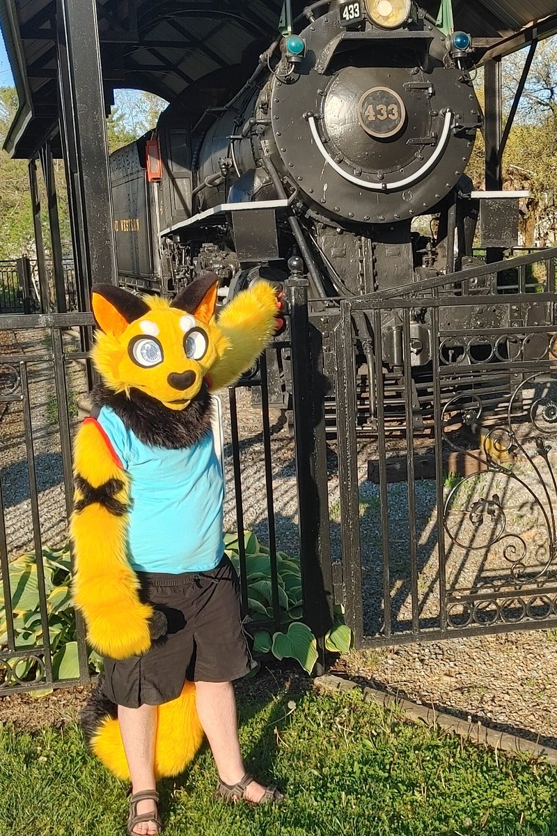 Nothing like a nice evening with a steam engine.

🪡 - <a href="/TheKneadery/">✨ thekneadery.bsky.com ✨</a> 
#FursuitFriday