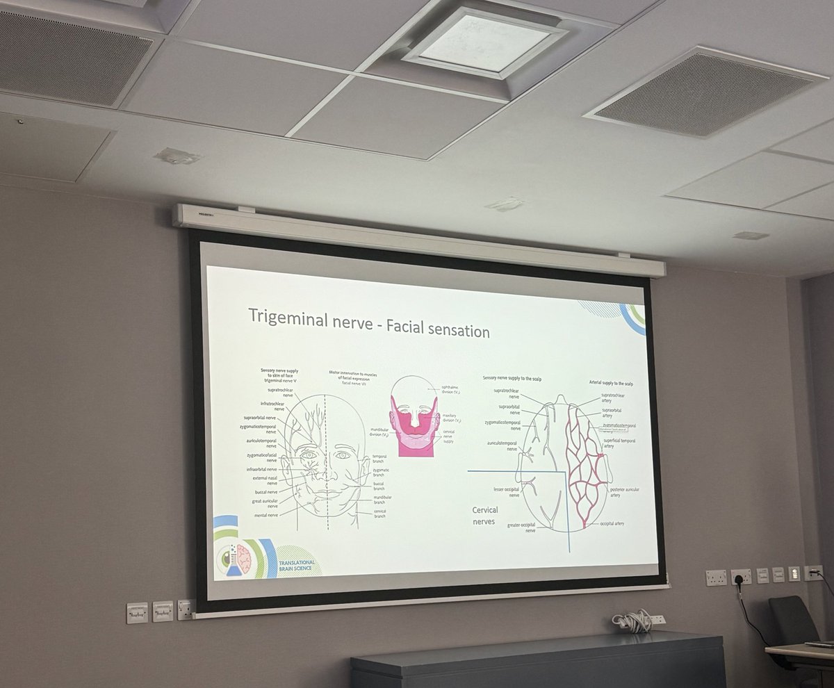 jessiebris's tweet photo. Facial pain is historically difficult to phenotype as it falls between multiple specialties. @MarkHeadache is taking us through the common (and less common) causes of this often debilitating symptom. @UK_headache
#neurology #bashhead #facialpain #migraine #trigeminalneuralgia https://t.co/fffavsBBsG