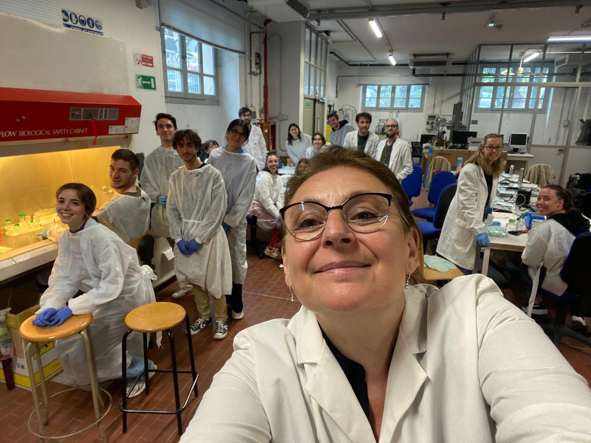 Manuela T. Raimondi tweet media