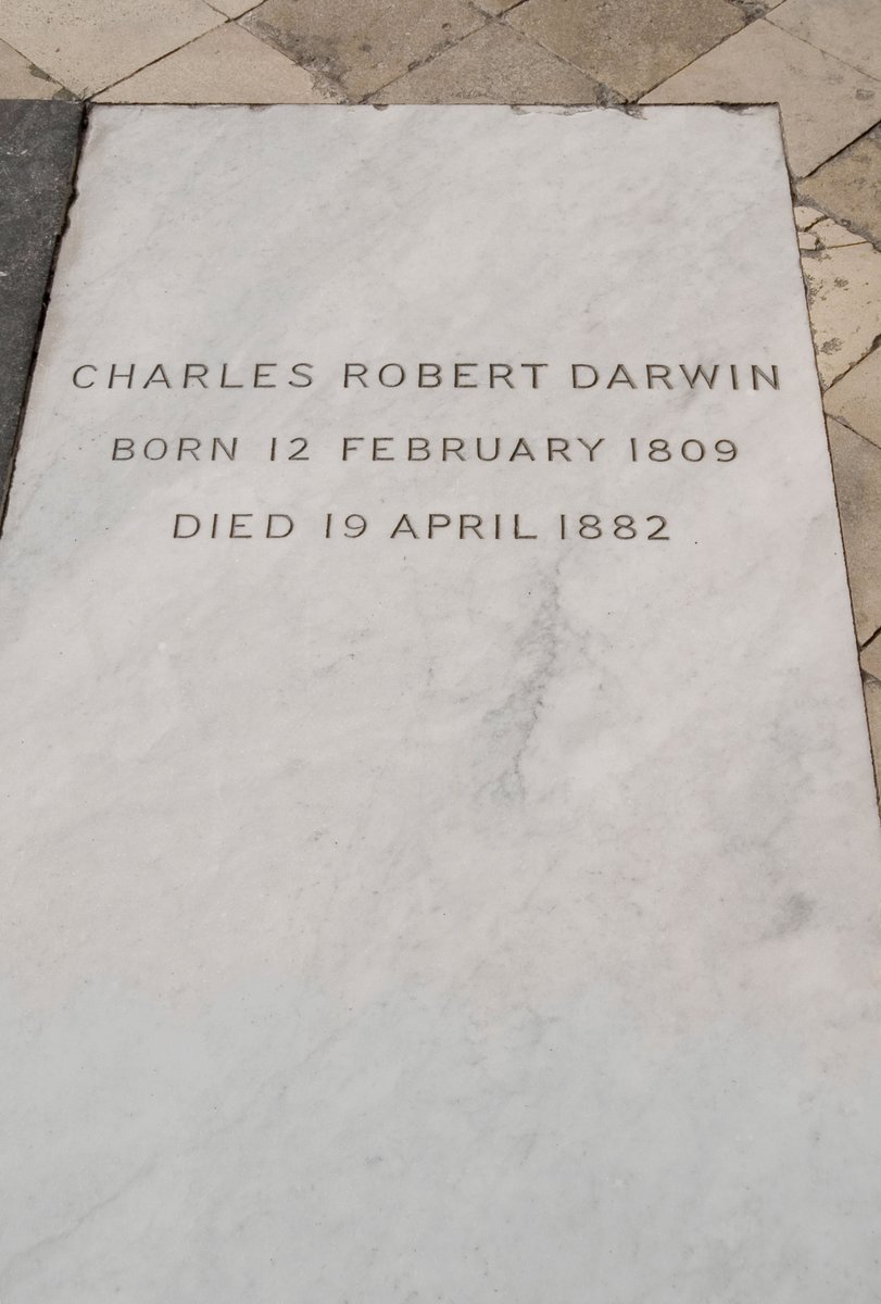 Charles Darwin died #onthisday in 1882. Developing a passion for natural history during his time at Cambridge University, his most famous work was 'The Origin of Species by natural selection' in 1859. He is buried in the Abbey's nave. Discover more: westminster-abbey.org/abbey-commemor…