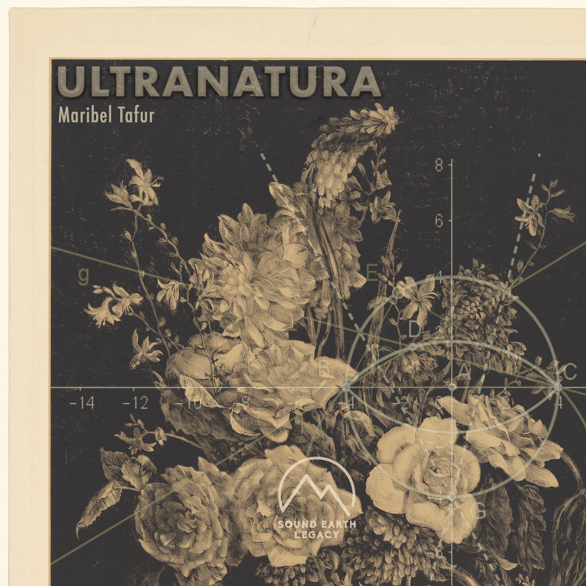 Nuevo álbum: Ultranatura
orcd.co/maribeltafur_u…