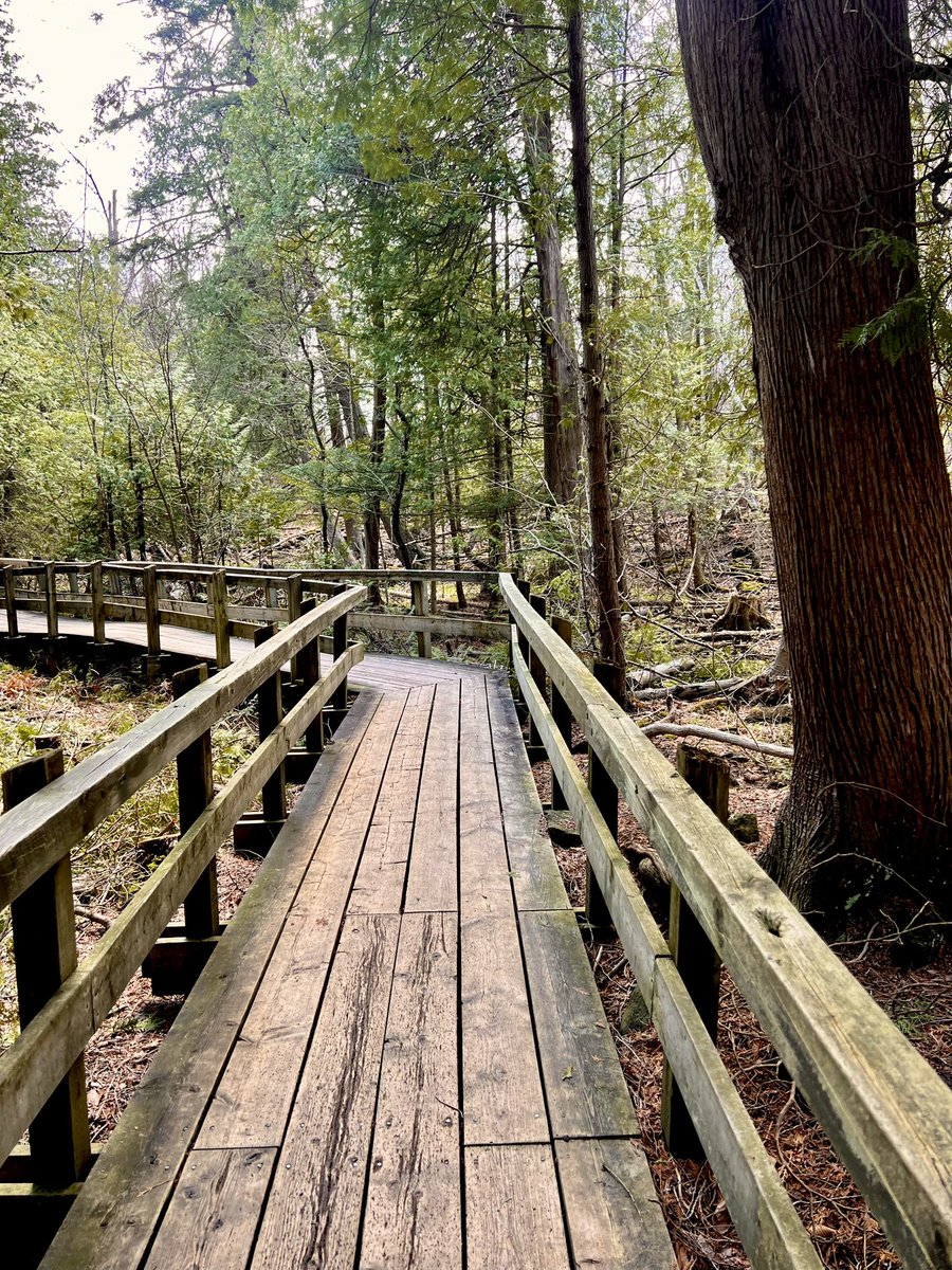 #fridaymorning #photo #photography #photographer #quote #quotes #boardwalk 📸Boardwalk of Life; it doesn’t matter if its straight or winding or with missing planks, appreciate the view, be grateful for the challenges & just keep walking , it’s a journey to your destination-M