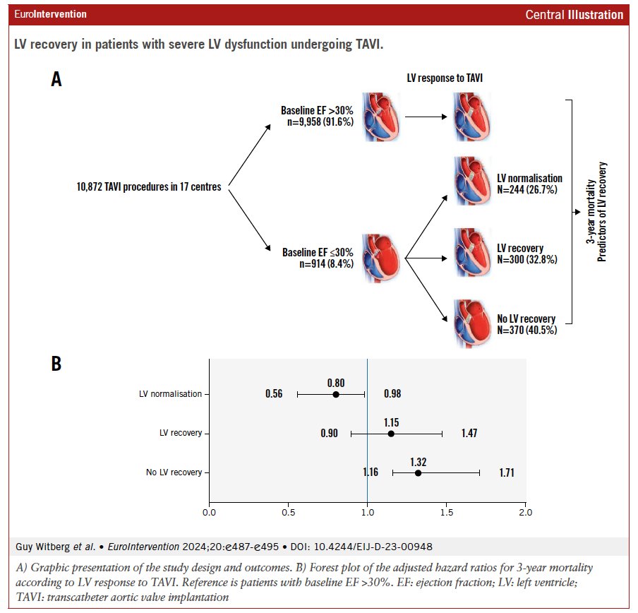 This study explored the recovery of left ventricular function after TAVI in patients with severe aortic stenosis and left ventricular dysfunction. It demonstrated that improvement in ventricular function significantly influences midterm survival. Factors such as the absence of…