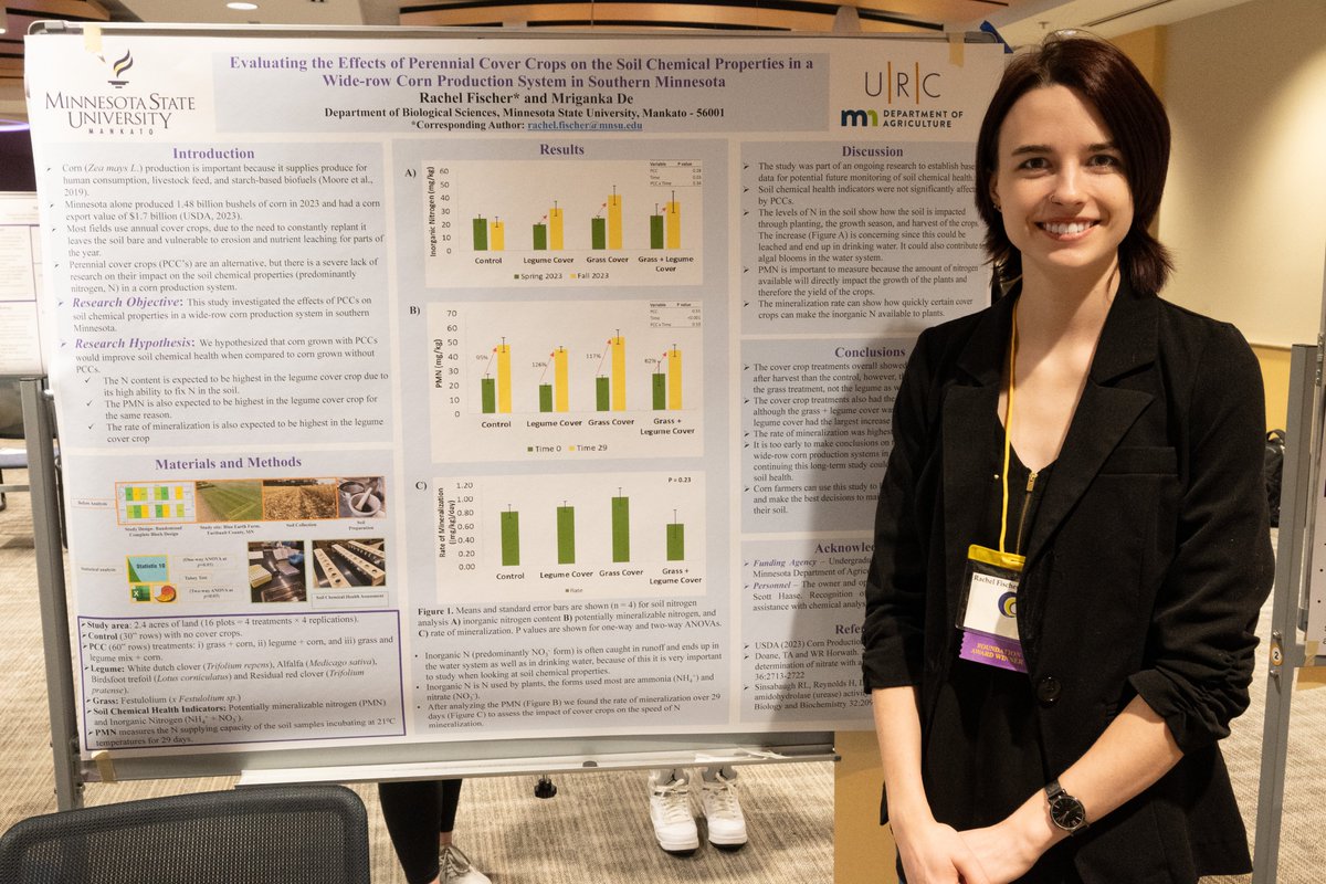 So proud of my brilliant lab students who rocked the <a href="/URC_MSUMankato/">URC at MNSU Mankato</a> symposium stage today! Keep shining bright and pushing the boundaries of #science Thanks to <a href="/mkaproth/">Matthew Kaproth</a> <a href="/TeamEchinacea/">Echinacea Project</a>  <a href="/scott_bluedirt/">Scott Haase</a> <a href="/MNSUMankato/">Minnesota State Mankato</a> <a href="/CSET_MNSU/">CSET at MSU Mankato</a> 
#FutureScientists #SoilHealth
