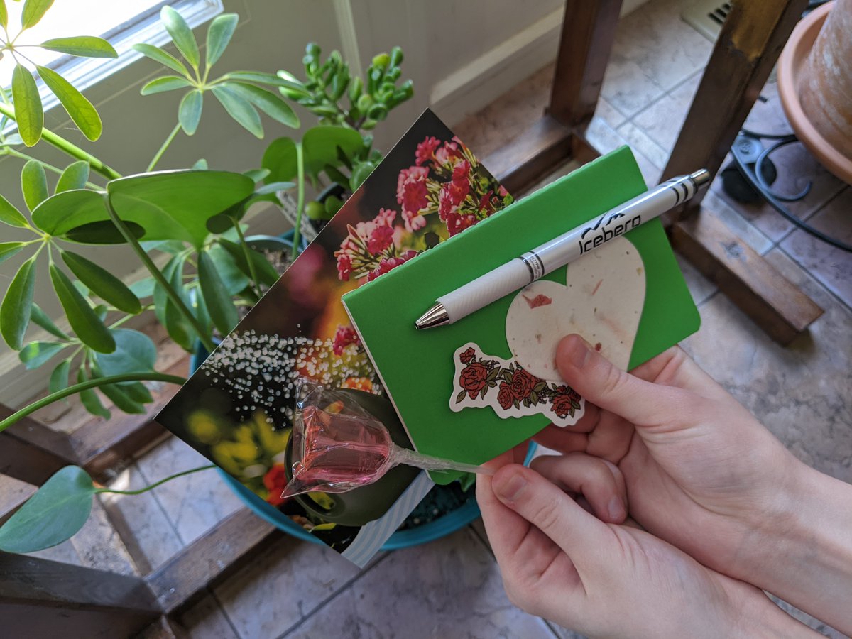 BestBrandFan's tweet photo. Loving my new watering can from Iceberg Enterprises! Great spray head (nicer than my shower!) #Tryazon #IcebergEnterprises #GardeningEssentials
#WateringCan #GreenThumbLife #GardenInspiration
#PlantLover #BloomingGarden #GrowingGreen
#GardenGoals #WaterPro #WaterLikeAPro @Tryazon https://t.co/atDaylqCbg