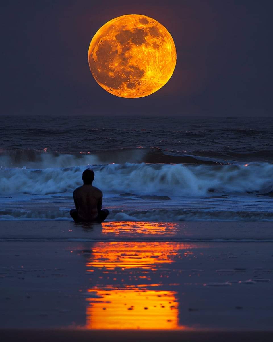 Kimi güler 
kimi ağlar
Acayip bir yer bu dünya

Kimi doğar
 kimi ölür
Her geçene  yol bu dünya

Bir telaş ki 
çalış çalış
Bitmiyor ki asla yarış

Toru topu 
iki karış
Bir çukura yol bu dünya...✍️

<a href="/siir_gibisin/">ŞİİŘ ĞİβİŜİŇ✍️</a>✍️🥀